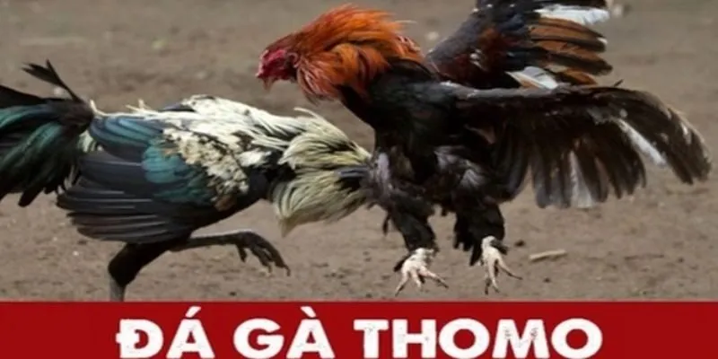 da-ga-thomo-sunwin